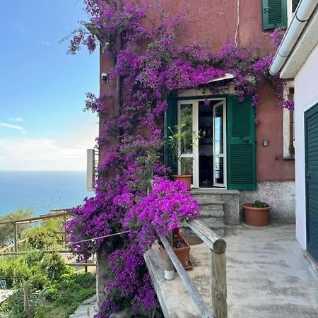 Amazing Flat At The Heart Of 5 Terre National Park Apartment Vernazza Exterior foto