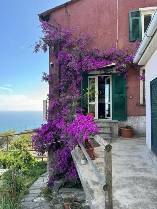 Amazing Flat At The Heart Of 5 Terre National Park Apartment Vernazza Exterior foto